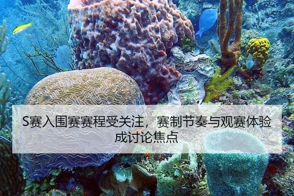S赛入围赛赛程受关注，赛制节奏与观赛体验成讨论焦点